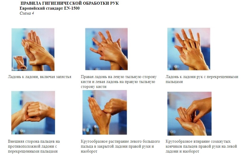 Гигиеническая обработка рук. Схема обработки рук. Техника мытья рук. Последовательность гигиенического мытья рук. Стандарты гигиенической обработки рук